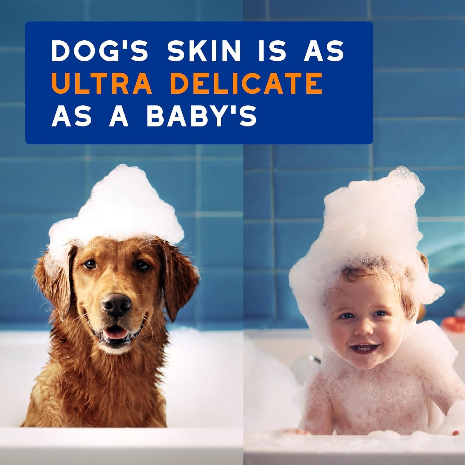 SPA 2 in 1 Dog Shampoo and Conditioner, 16 Fl Oz, Hydrates the Skin, Leaves the Coat Soft and Detangled, Ultra-Safe Formula