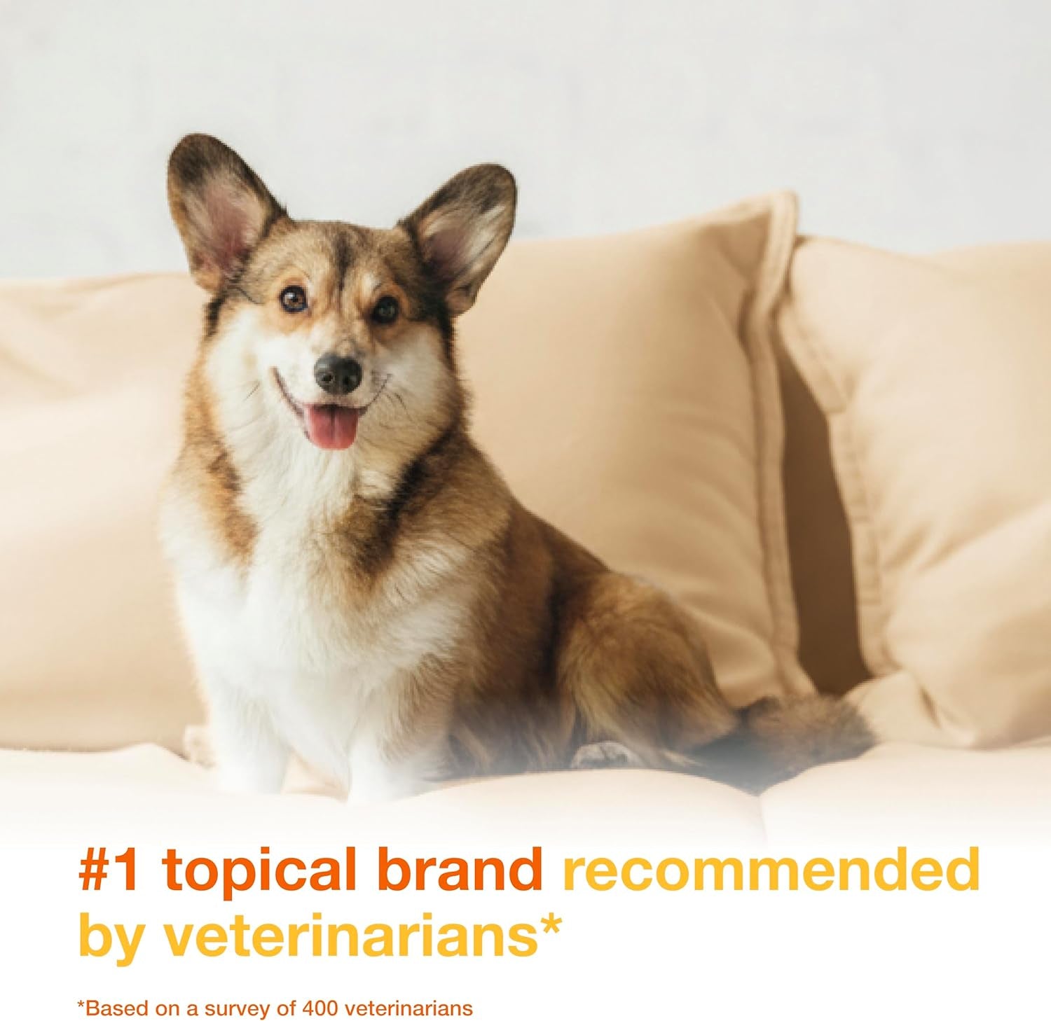 PYO Medicated Dog Mousse; Bacterial & Yeast Infection Treatment for Dogs – Chlorhexidine Dog Waterless Shampoo, Antibacterial & Antiseptic, for Dogs Only, Clinically Proven, 5 Fl Oz
