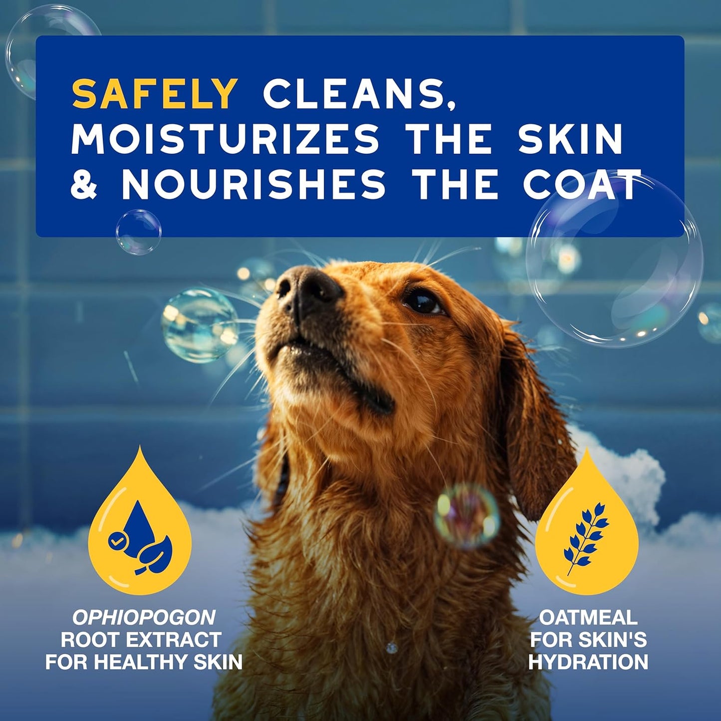 SPA Oatmeal Dog Shampoo, 16 Fl Oz, Moisturizes the Skin, Leaves the Coat Soft and Radiant, Ultra-Safe for Skin and Coat