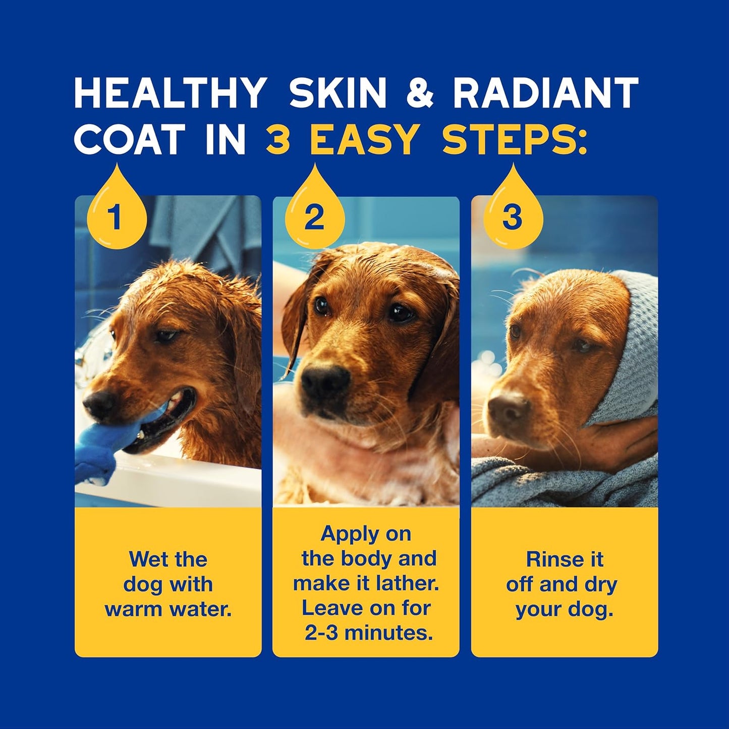 SPA Oatmeal Dog Shampoo, 16 Fl Oz, Moisturizes the Skin, Leaves the Coat Soft and Radiant, Ultra-Safe for Skin and Coat