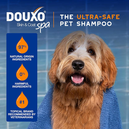 SPA 2 in 1 Dog Shampoo and Conditioner, 16 Fl Oz, Hydrates the Skin, Leaves the Coat Soft and Detangled, Ultra-Safe Formula