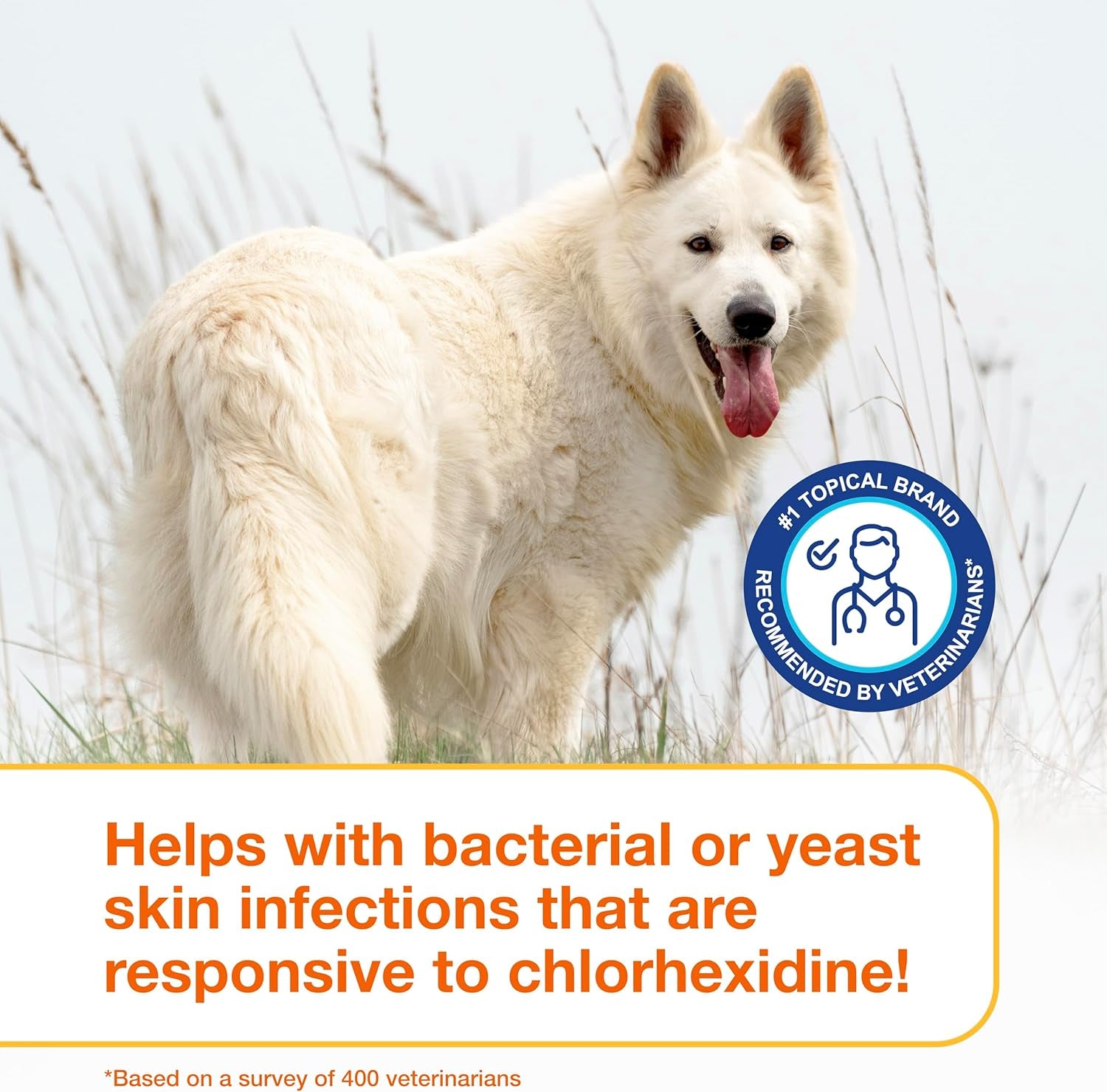 PYO Medicated Dog Mousse; Bacterial & Yeast Infection Treatment for Dogs – Chlorhexidine Dog Waterless Shampoo, Antibacterial & Antiseptic, for Dogs Only, Clinically Proven, 5 Fl Oz