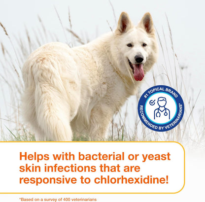 PYO Medicated Dog Mousse; Bacterial & Yeast Infection Treatment for Dogs – Chlorhexidine Dog Waterless Shampoo, Antibacterial & Antiseptic, for Dogs Only, Clinically Proven, 5 Fl Oz